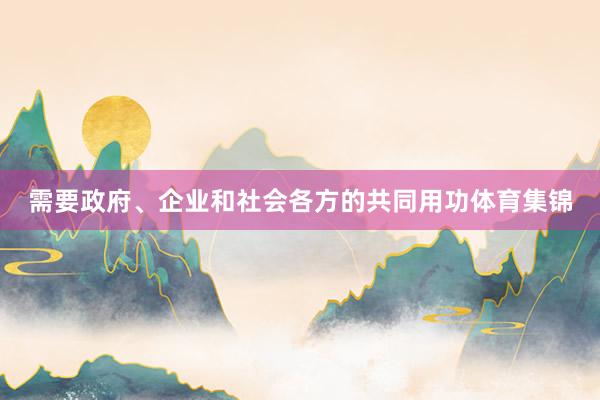 需要政府、企业和社会各方的共同用功体育集锦