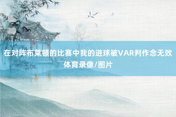 在对阵布莱顿的比赛中我的进球被VAR判作念无效体育录像/图片